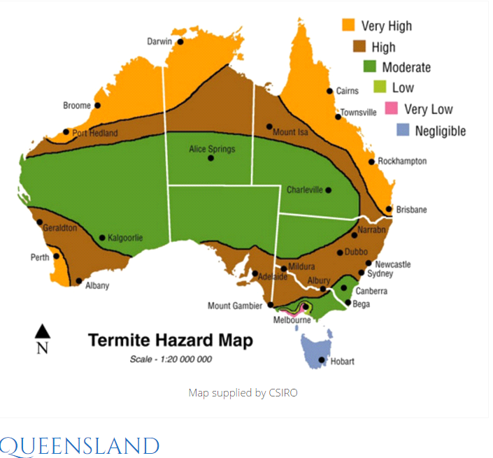 termite hazard map